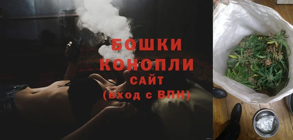 гидра Костерёво