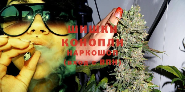 дурь Коряжма
