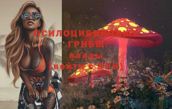 дурь Коряжма