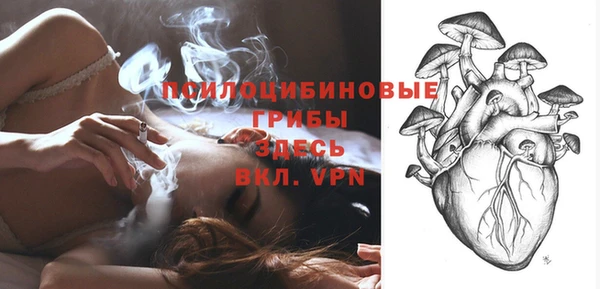 дурь Коряжма