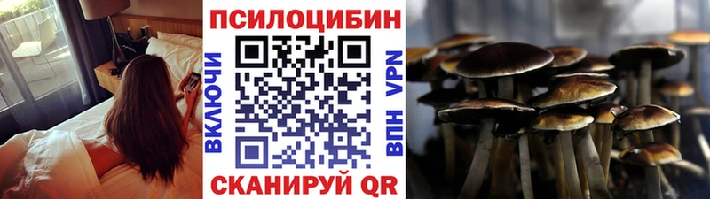 Купить где  Починок  Псилоцибиновые грибы прущие грибы 