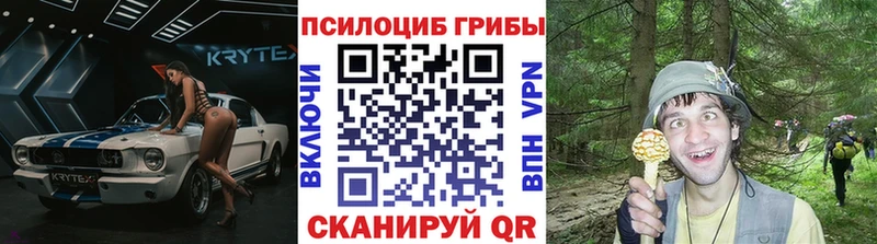 Галлюциногенные грибы Cubensis Починок